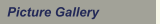 Picture Gallery